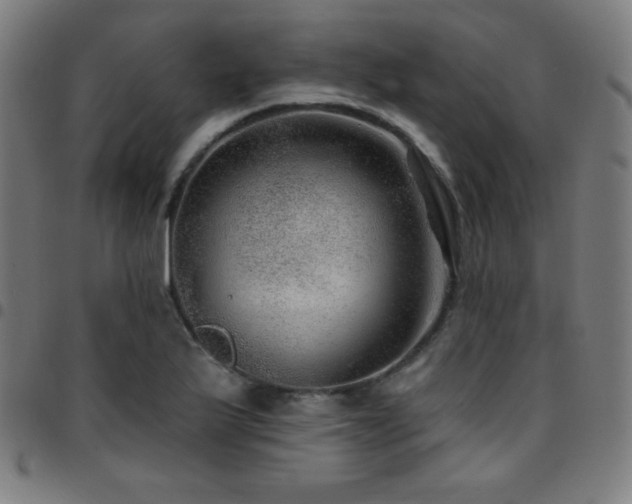 X0000097791175200803071405