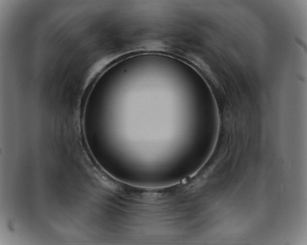 X0000097791176200803071405