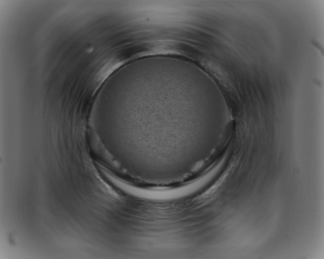 X0000097791177200803071405