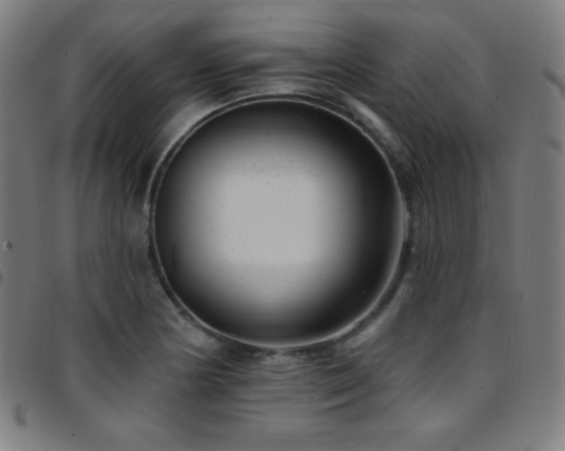 X0000097791178200803071405