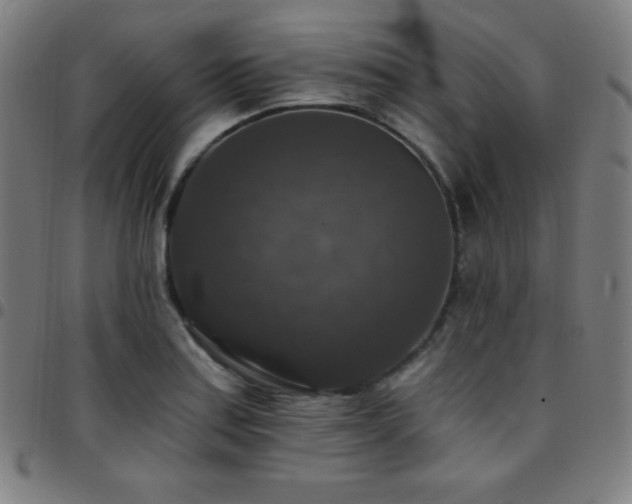 X0000097791179200803071405