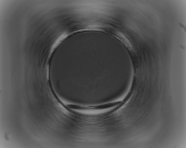 X0000097791180200803071405