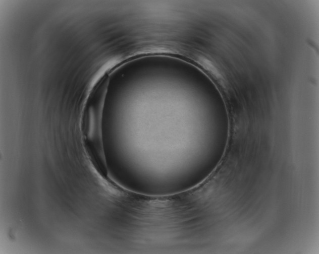 X0000097791181200803071405