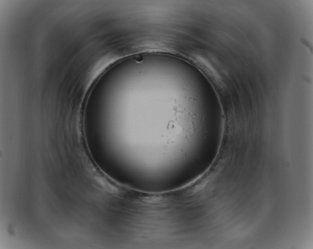 X0000097791182200803071405