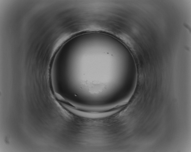 X0000097791183200803071405