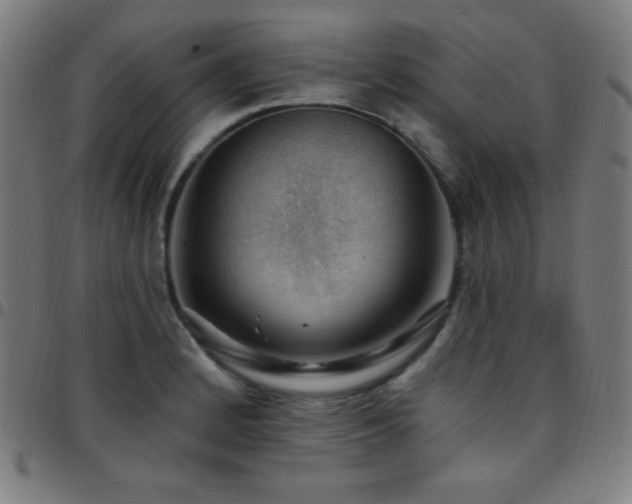 X0000097791184200803071405
