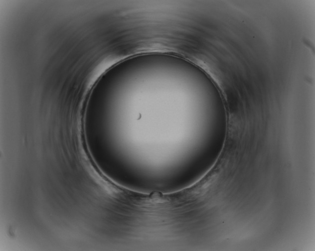 X0000097791187200803071405