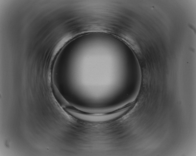 X0000097791188200803071405