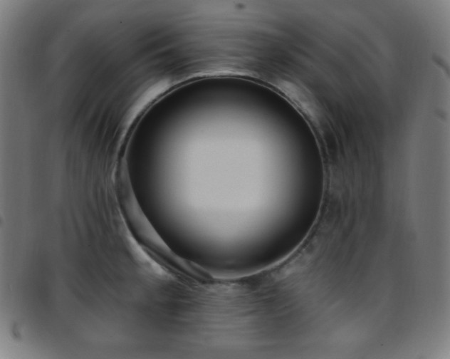 X0000097791189200803071405