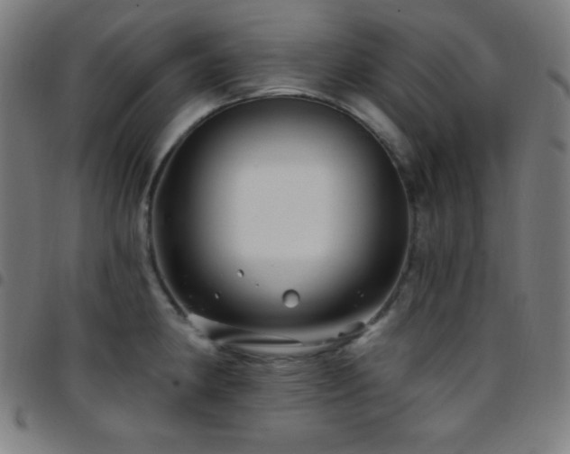 X0000097791190200803071405