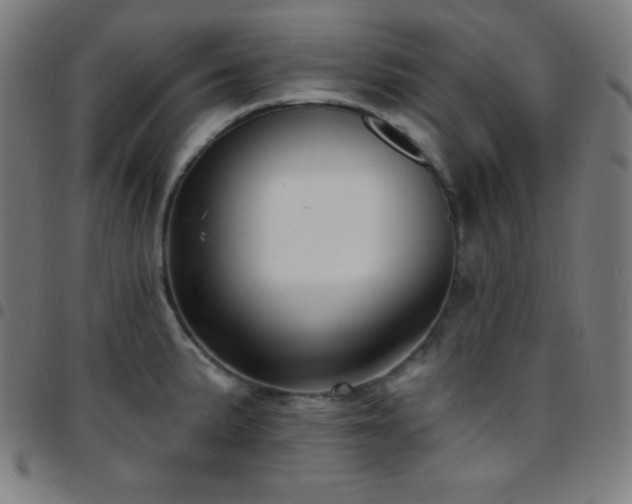 X0000097791191200803071405