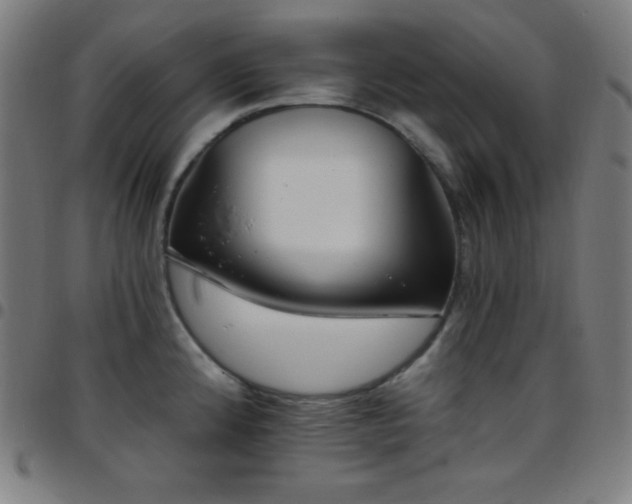 X0000097791192200803071405