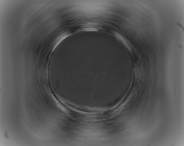 X0000097791194200803071405