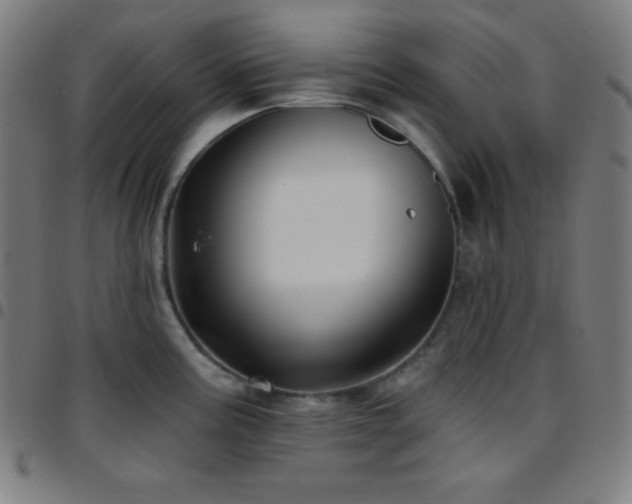 X0000097791195200803071405