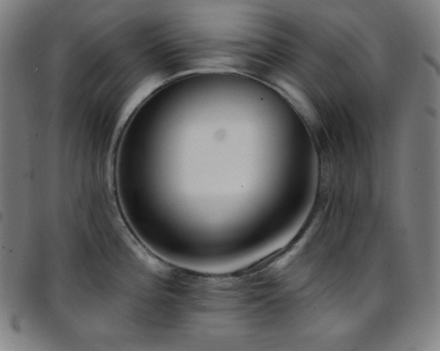 X0000097791196200803071405