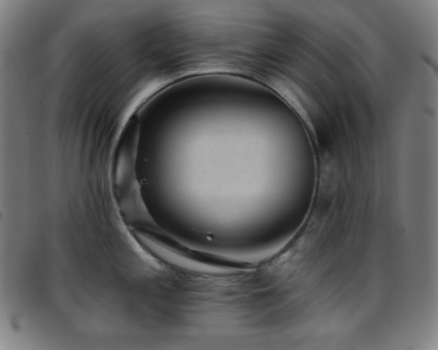 X0000097791197200803071405