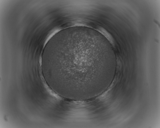 X0000097791198200803071405