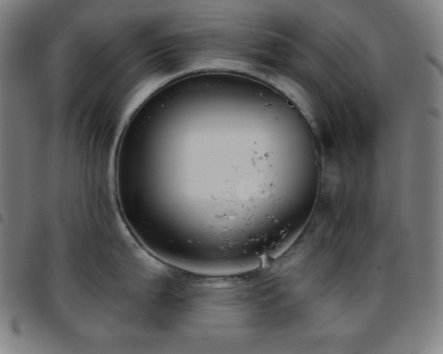 X0000097791199200803071405