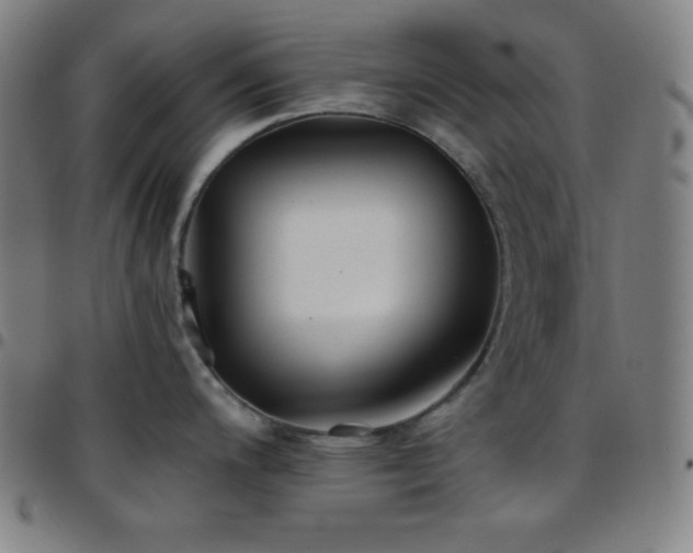 X0000097791200200803071405