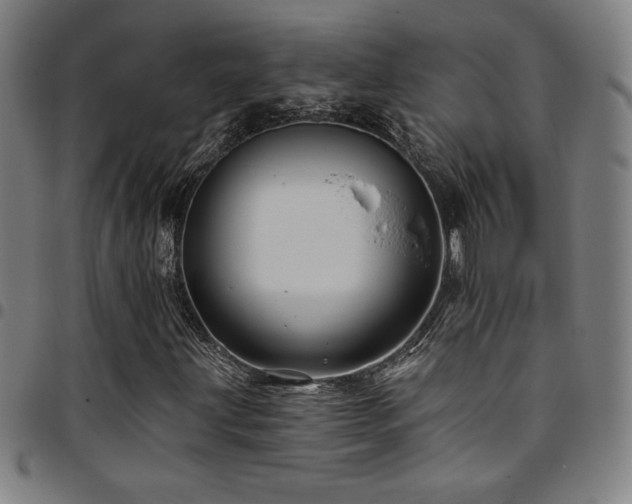 X0000097791203200803071404