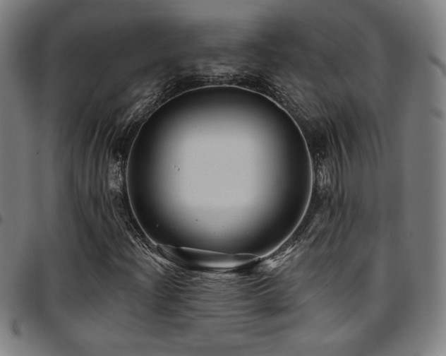 X0000097791204200803071404