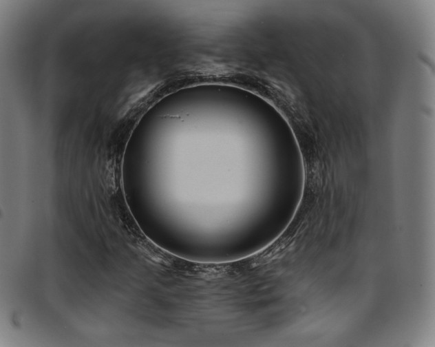 X0000097791205200803071404