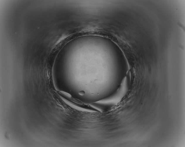 X0000097791206200803071404