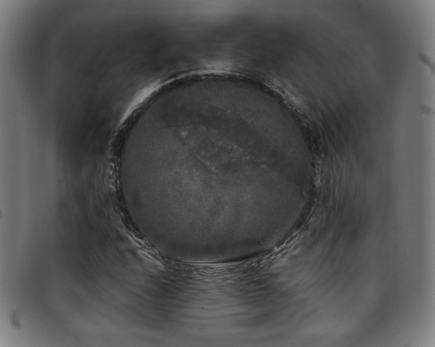 X0000097791208200803071404