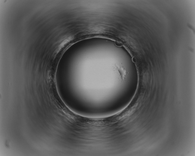 X0000097791210200803071405