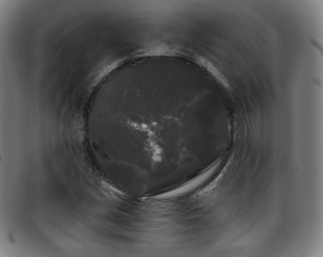 X0000097791213200803071405