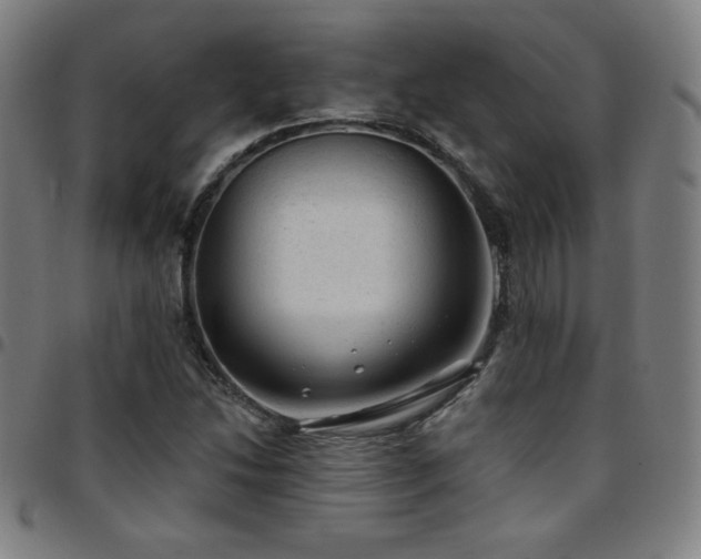 X0000097791214200803071405
