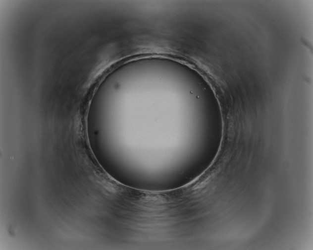 X0000097791215200803071405