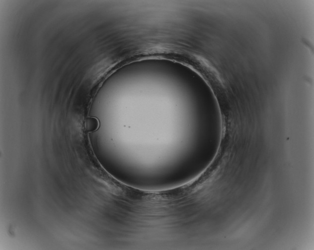 X0000097791217200803071405