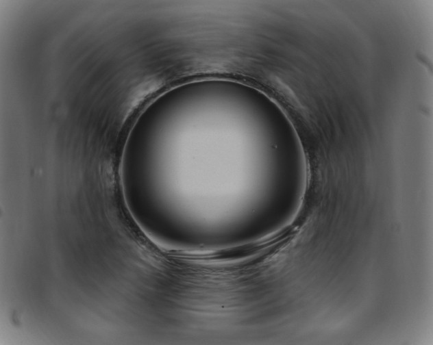 X0000097791218200803071405