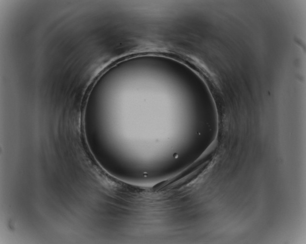 X0000097791220200803071405