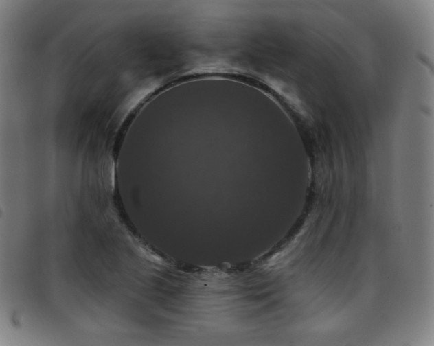 X0000097791221200803071405