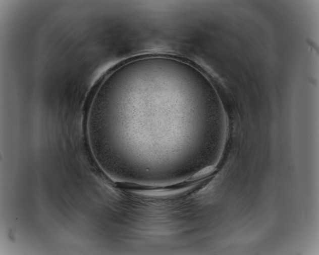 X0000097791222200803071405