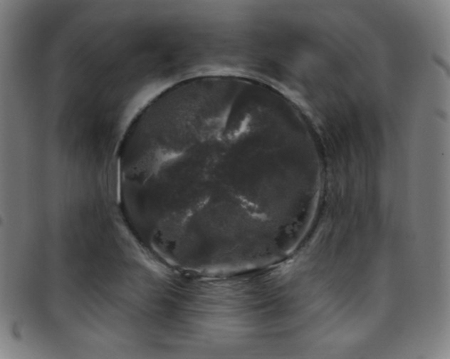 X0000097791223200803071405