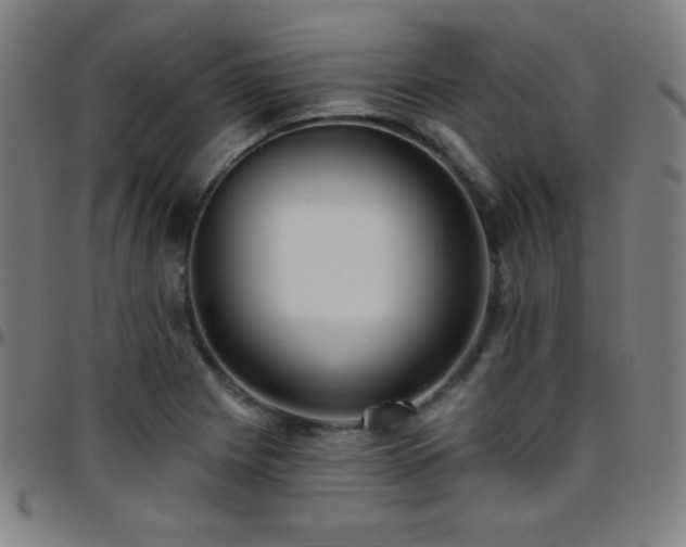 X0000097791225200803071405
