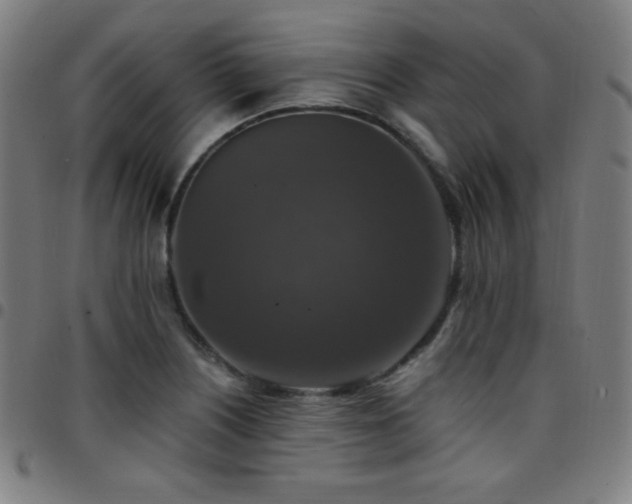 X0000097791226200803071405