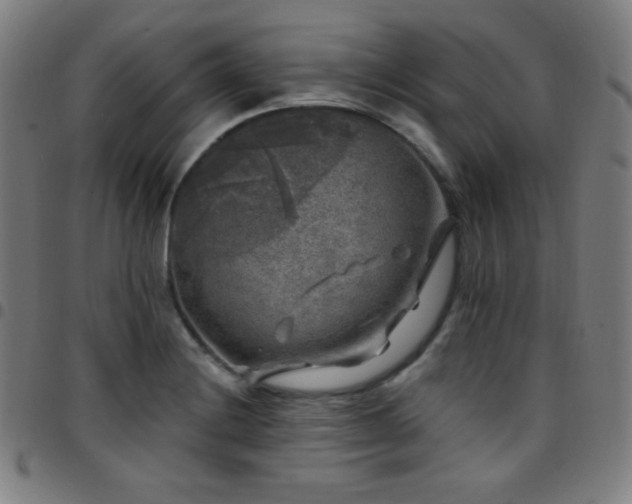 X0000097791228200803071405
