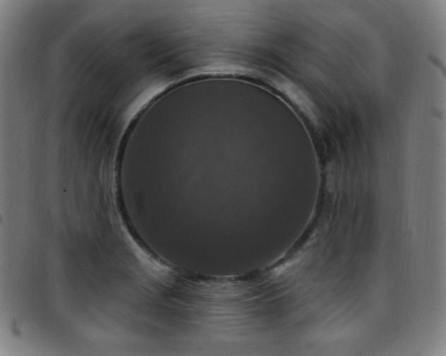 X0000097791229200803071405