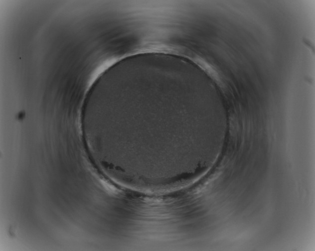 X0000097791230200803071405
