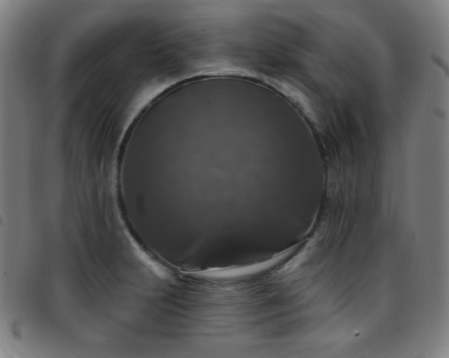 X0000097791231200803071405