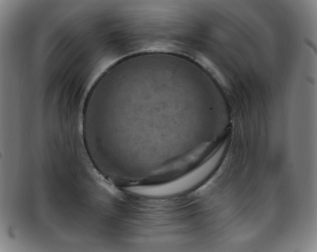X0000097791232200803071405