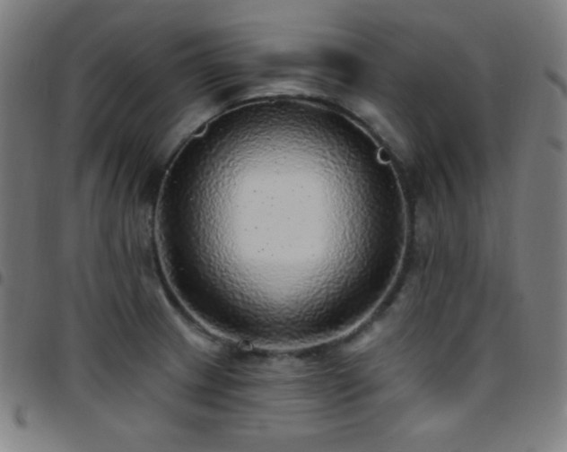X0000097791233200803071405