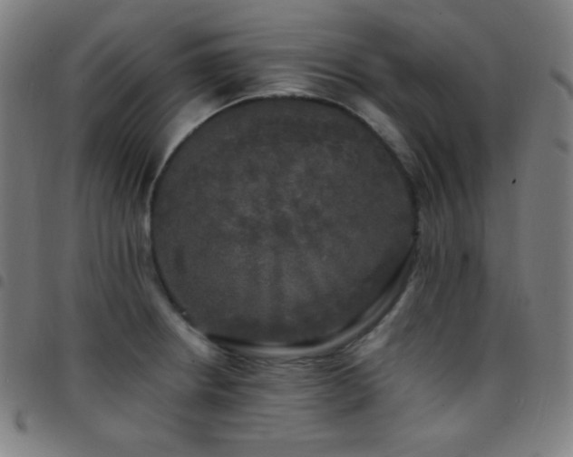 X0000097791234200803071405