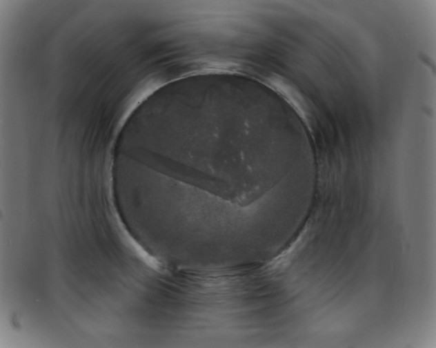 X0000097791235200803071405
