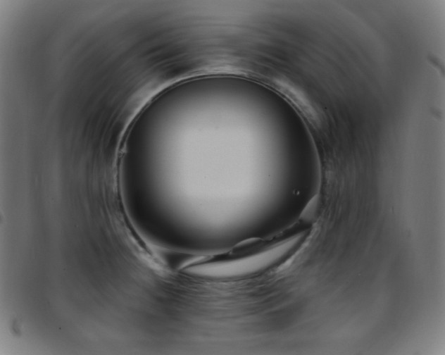 X0000097791236200803071405