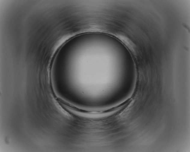 X0000097791238200803071405